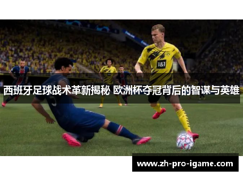 西班牙足球战术革新揭秘 欧洲杯夺冠背后的智谋与英雄