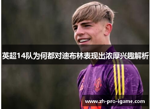 英超14队为何都对迪布林表现出浓厚兴趣解析