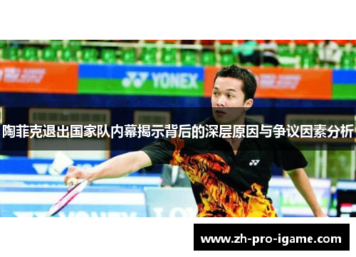 陶菲克退出国家队内幕揭示背后的深层原因与争议因素分析